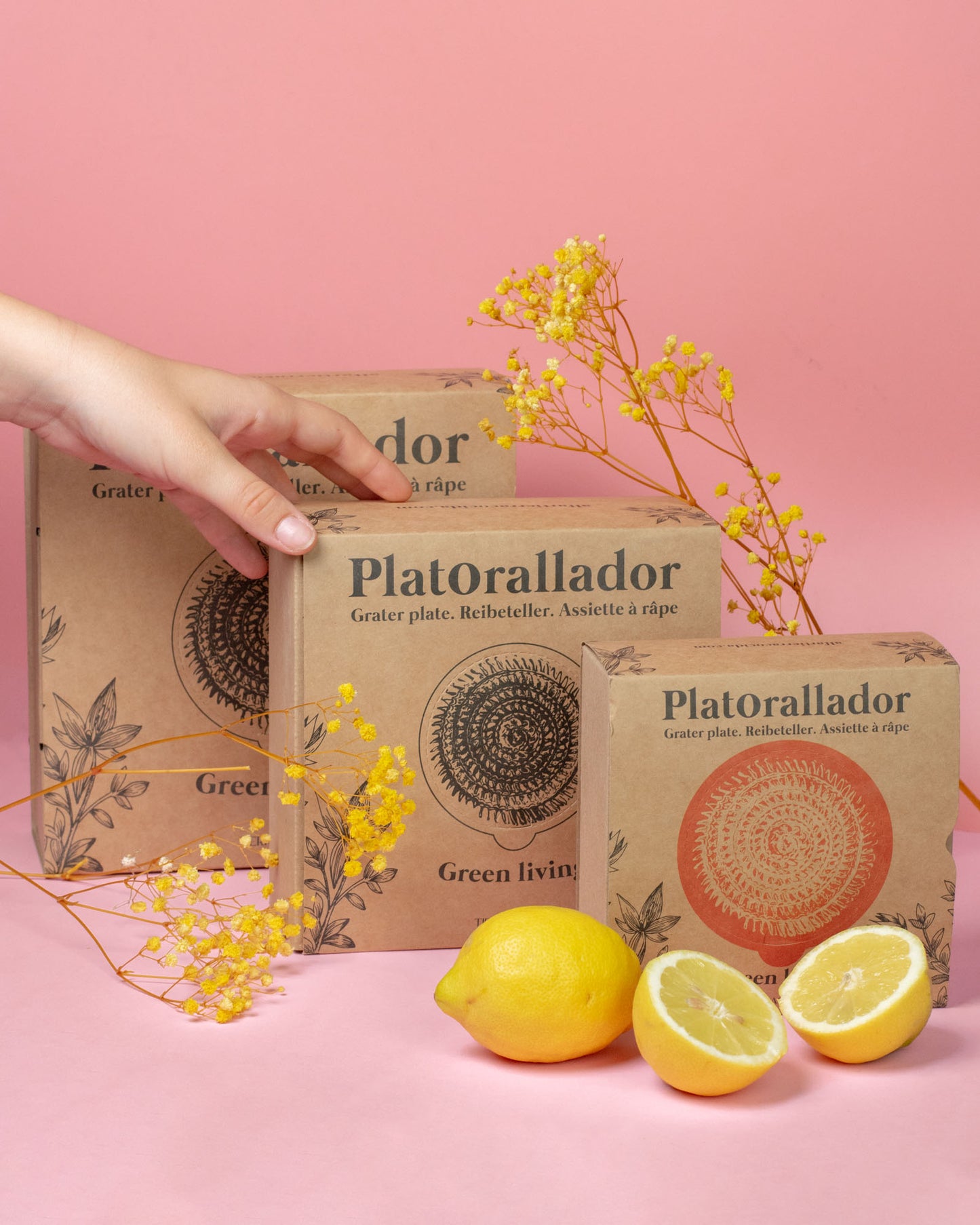 Distintos tamaños de plato rallador