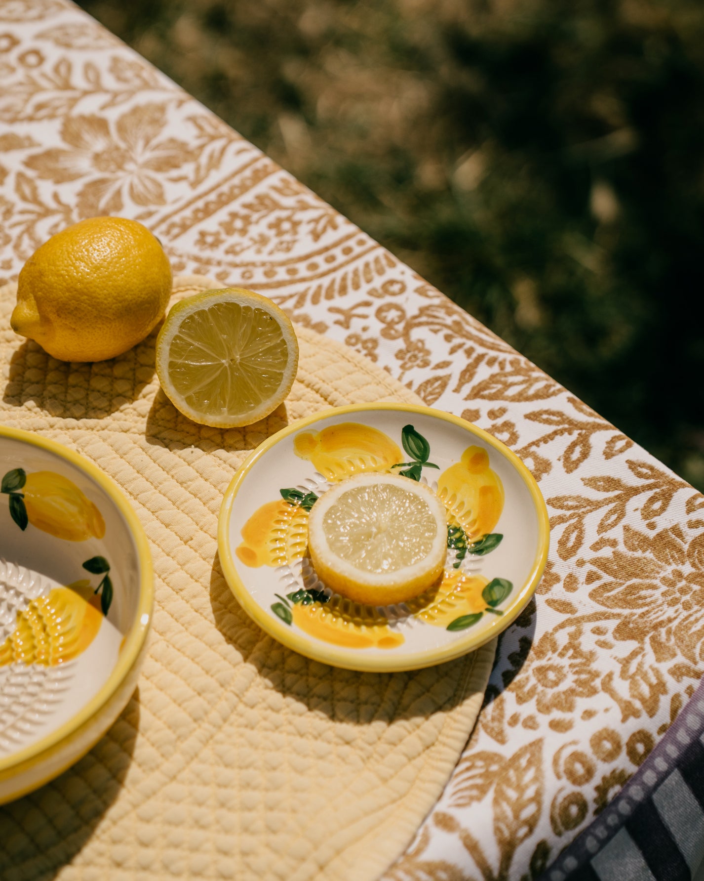PLATO RALLADOR LIMONE