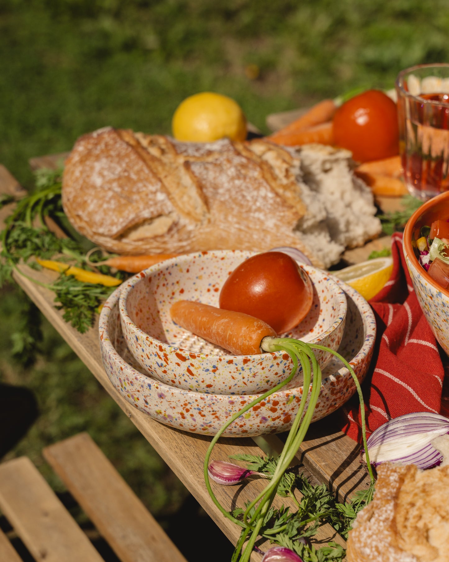 PLATO RALLADOR CARNAVAL