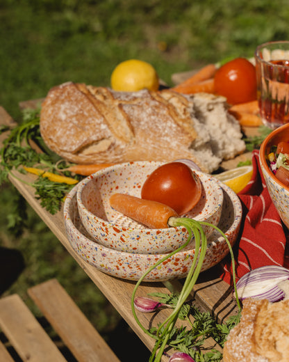 PLATO RALLADOR CARNAVAL