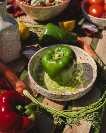 PLATO RALLADOR CARNAVAL