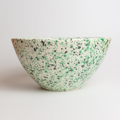 Succulent ceramic salad bowl