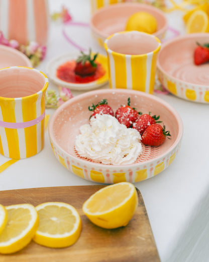 PLATO RALLADOR GRANDE + CUCHARA GRATIS