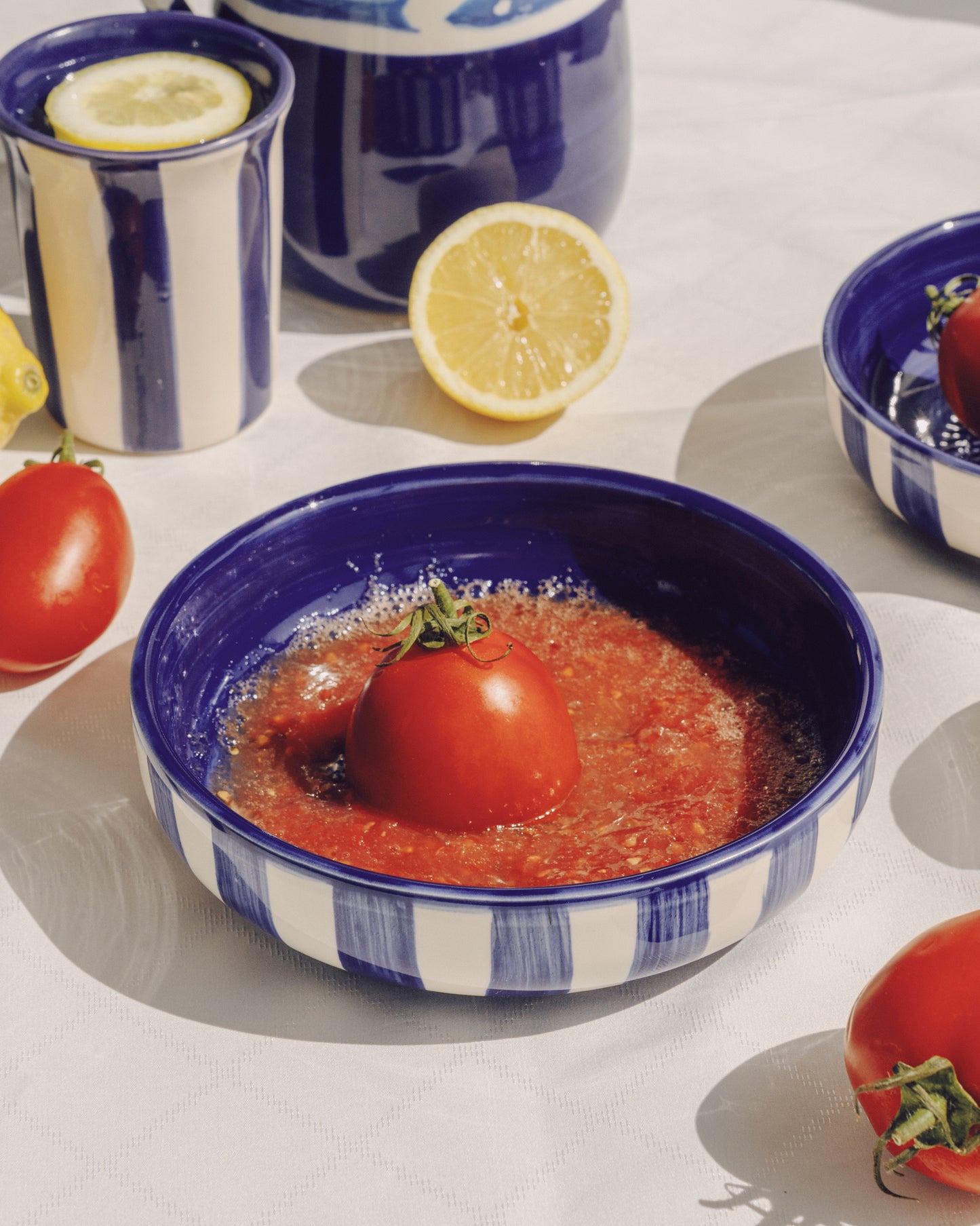 PLATO RALLADOR GRANDE + CUCHARA GRATIS