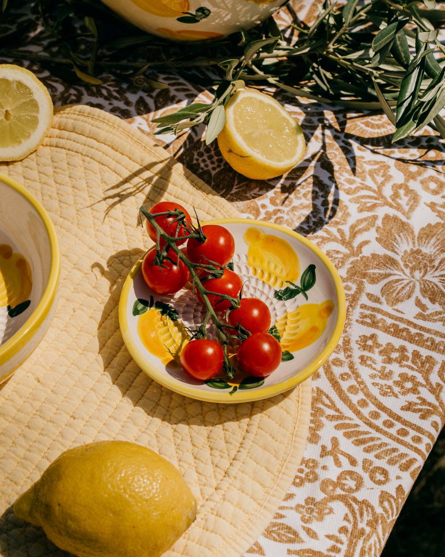 PLATO RALLADOR LIMONE
