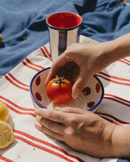 PLATO RALLADOR POMODORO
