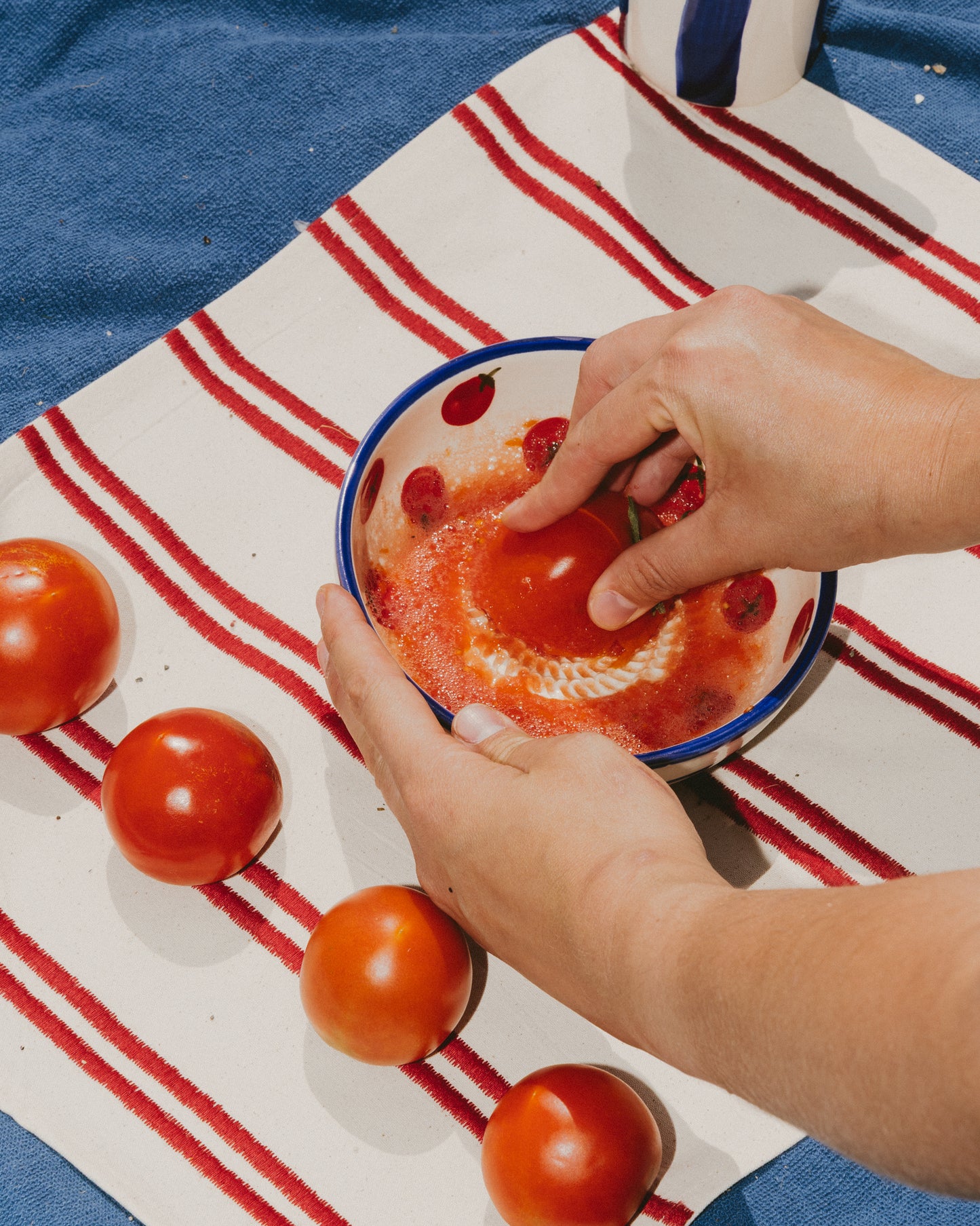 PLATO RALLADOR POMODORO